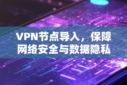 VPN节点导入，保障网络安全与数据隐私