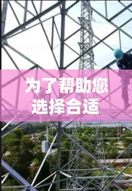为了帮助您选择合适的VPN节点APP，以下是对常见VPN服务提供商的详细分析和推荐