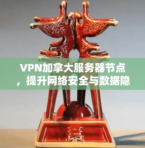 VPN加拿大服务器节点,提升网络安全与数据隐私的高效解决方案