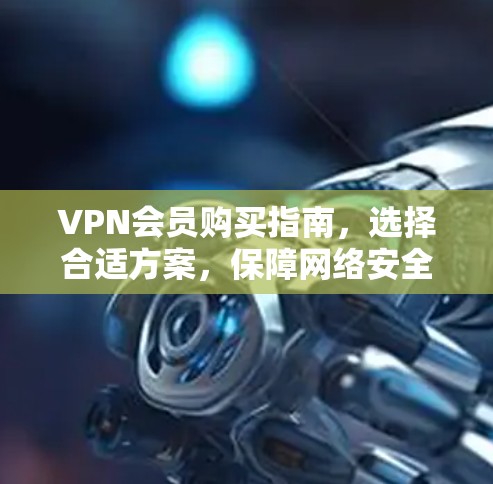 VPN会员购买指南,选择合适方案,保障网络安全