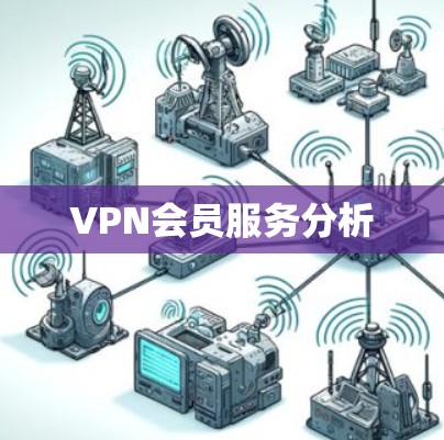 VPN会员服务分析 VPN会员服务分析