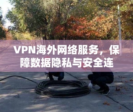 VPN海外网络服务,保障数据隐私与安全连接 VPN海外网络服务,保障数据隐私与安全连接