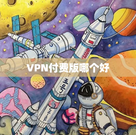 VPN付费版哪个好