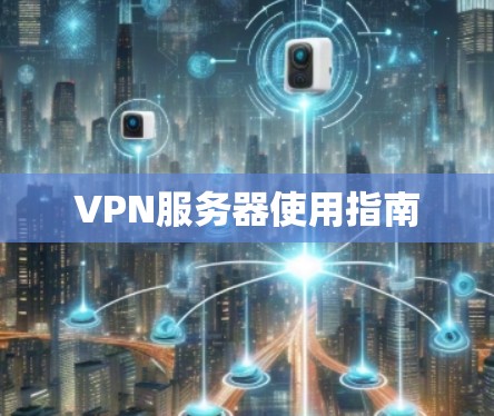 VPN服务器使用指南