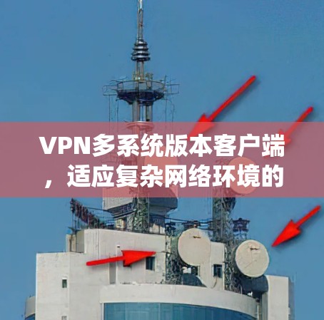 VPN多系统版本客户端,适应复杂网络环境的高效解决方案 VPN多系统版本客户端,适应复杂网络环境的高效解决方案