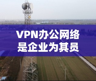 VPN办公网络是企业为其员工提供安全、可靠的网络访问方式的一种解决方案。以下是关于VPN办公网络的详细分步说明 VPN办公网络是企业为其员工提供安全、可靠的网络访问方式的一种解决方案。以下是关于VPN办公网络的详细分步说明