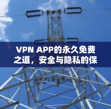 VPN APP的永久免费之道,安全与隐私的保障 VPN APP的永久免费之道,安全与隐私的保障