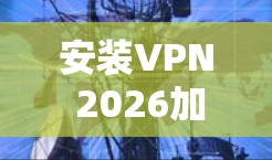 安装VPN 2026加速软件的步骤如下 安装VPN 2026加速软件的步骤如下