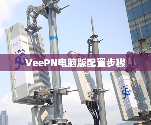 VeePN电脑版配置步骤 VeePN电脑版配置步骤