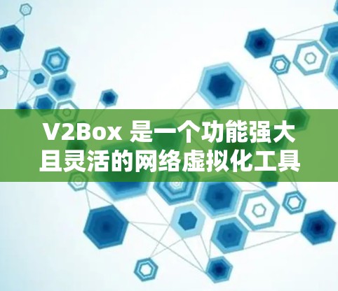 V2Box 是一个功能强大且灵活的网络虚拟化工具，适用于多种场景，能够满足开发、测试、教育和企业IT环境的需求。以下是对V2Box的详细分析和总结