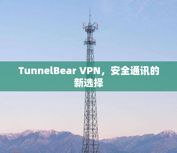 TunnelBear VPN,安全通讯的新选择 TunnelBear VPN,安全通讯的新选择