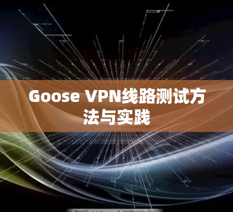 Goose VPN线路测试方法与实践 Goose VPN线路测试方法与实践