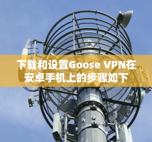 下载和设置Goose VPN在安卓手机上的步骤如下 下载和设置Goose VPN在安卓手机上的步骤如下