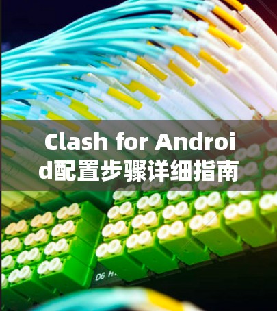 Clash for Android配置步骤详细指南 Clash for Android配置步骤详细指南