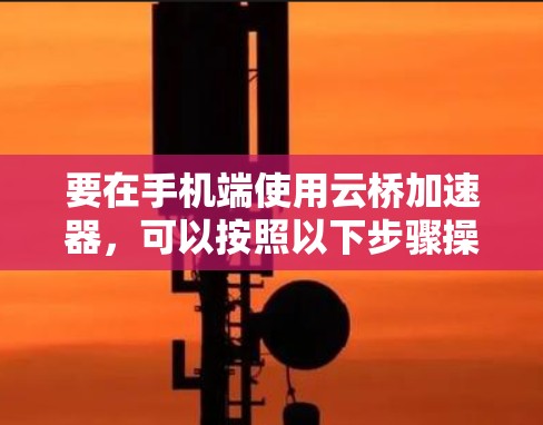 要在手机端使用云桥加速器，可以按照以下步骤操作